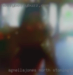 Agnellajones North Stonington Connecticut